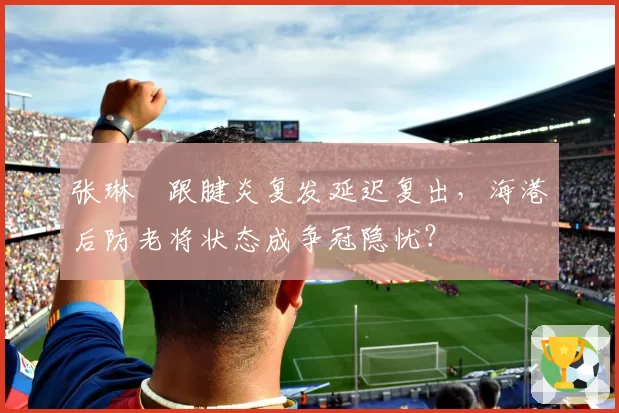 张琳芃跟腱炎复发延迟复出，海港后防老将状态成争冠隐忧？