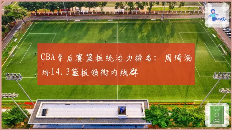 CBA季后赛篮板统治力排名：周琦场均14.3篮板领衔内线群